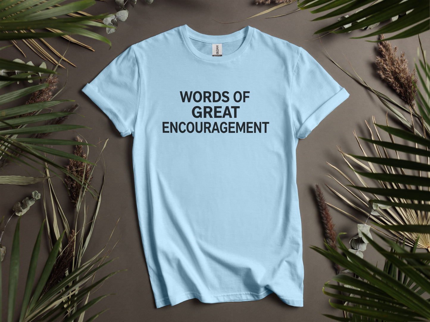 Light blue t-shirt with black text "WORDS OF GREAT ENCOURAGEMENT".